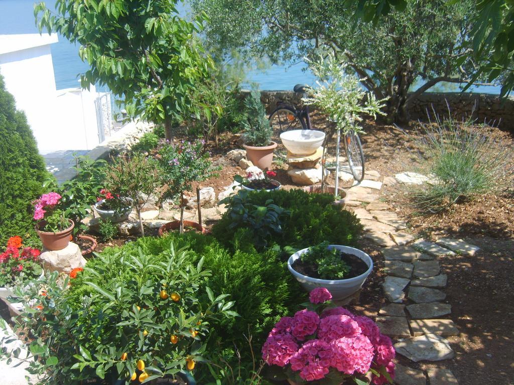 Apartments Iva Alla Trogir Bilik gambar